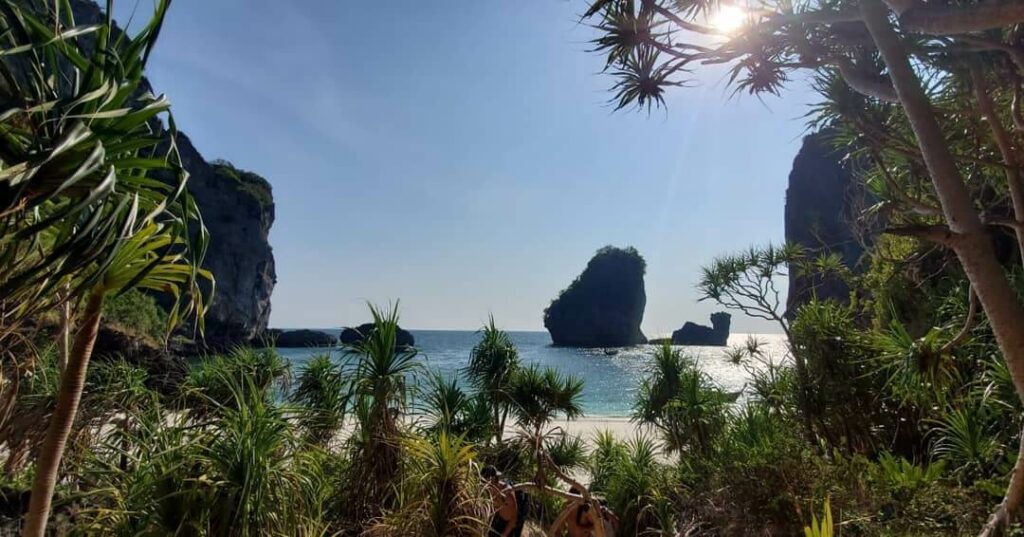 Photo Kindly Provided by Princess Divers Nui Bay through the jungle