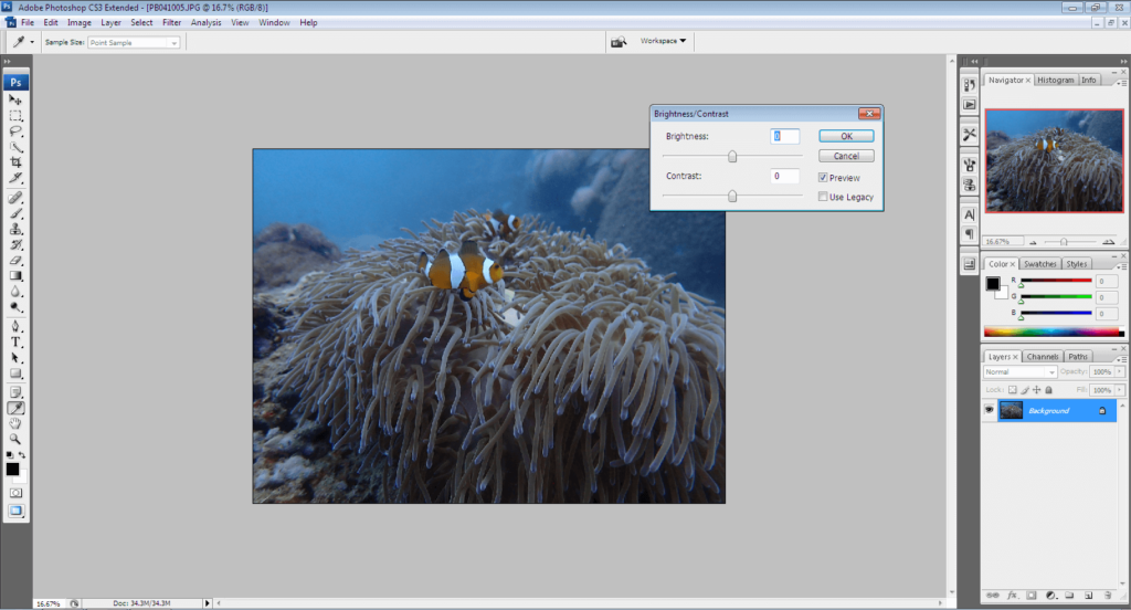 Post processing underwater photography Post processing underwater photography