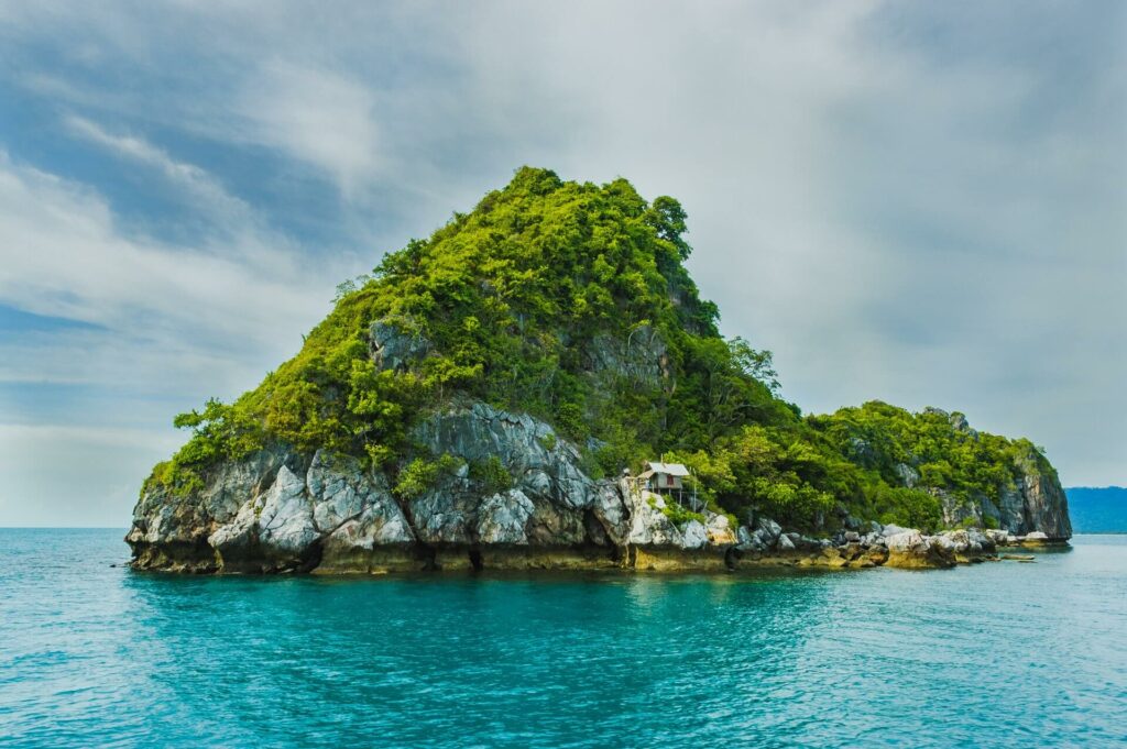 Small island covered with trees in the ocean Small island covered with trees in the ocean