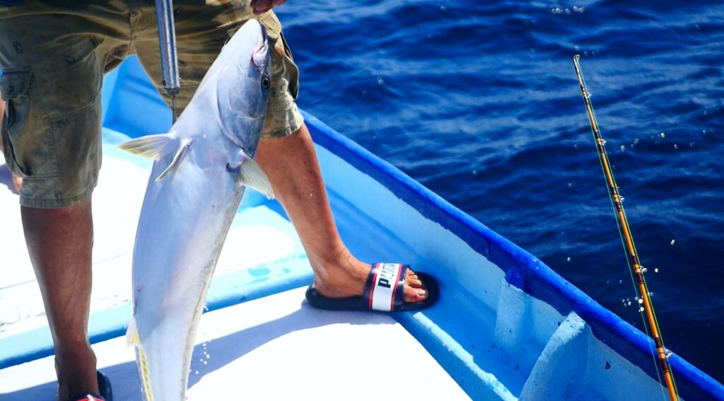 Man gaffs a fish on a fishing boat Man gaffs a fish on a fishing boat