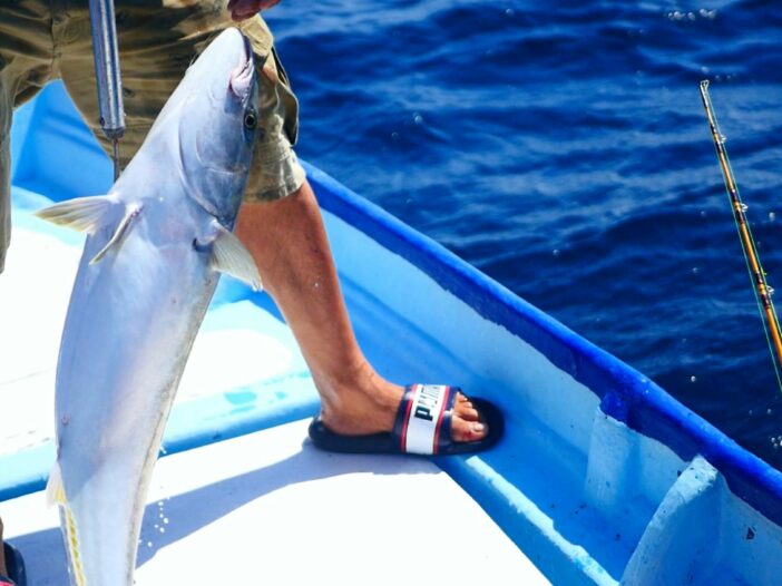 Man gaffs a fish on a fishing boat