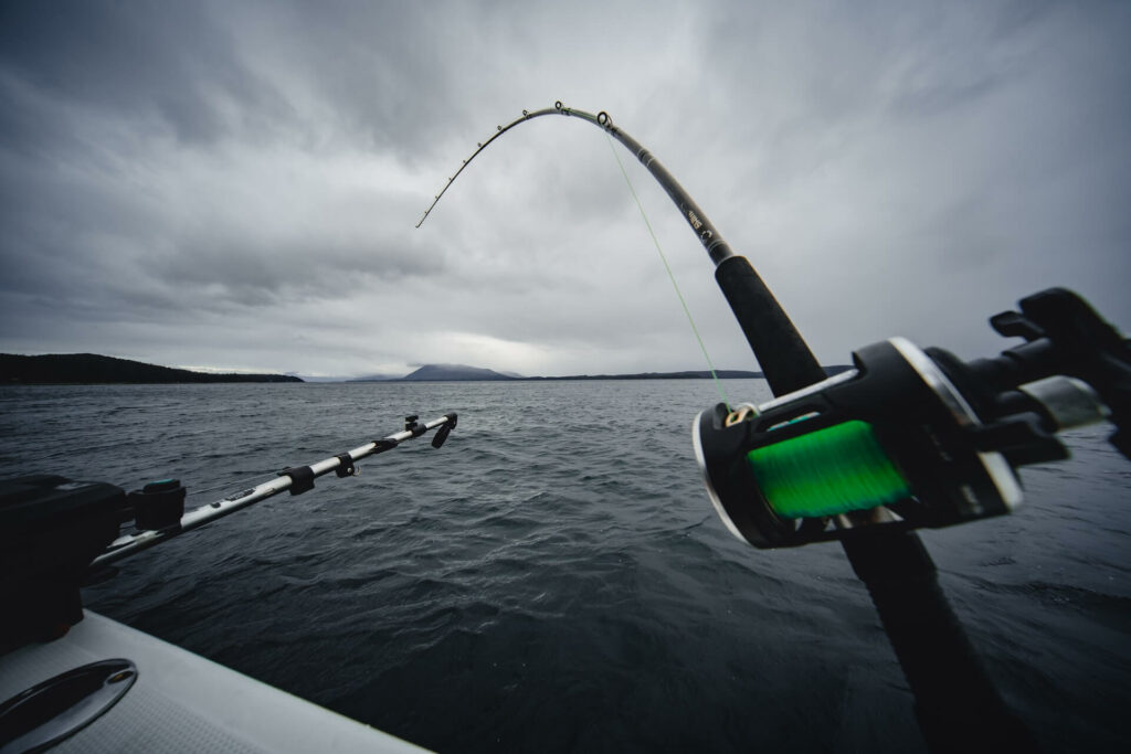 Fishing rod set up on an outrigger Fishing rod set up on an outrigger