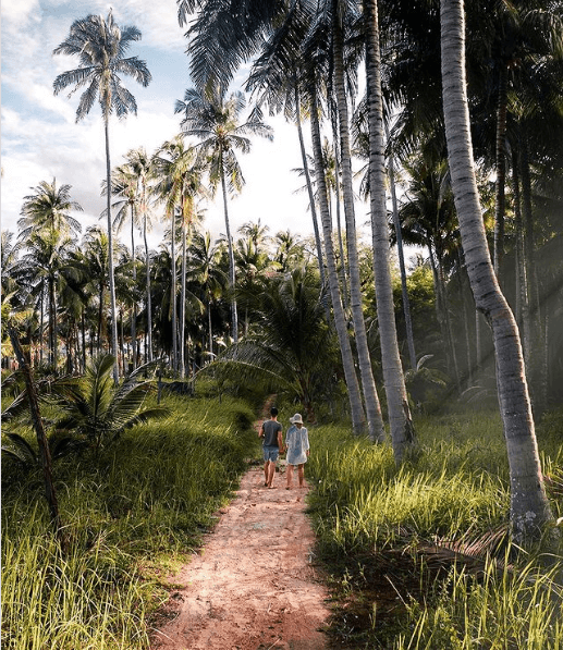 Jennifer and Chris Likins walking down a dirt path near palm trees in Thailand Jennifer and Chris Likins walking down a dirt path near palm trees in Thailand