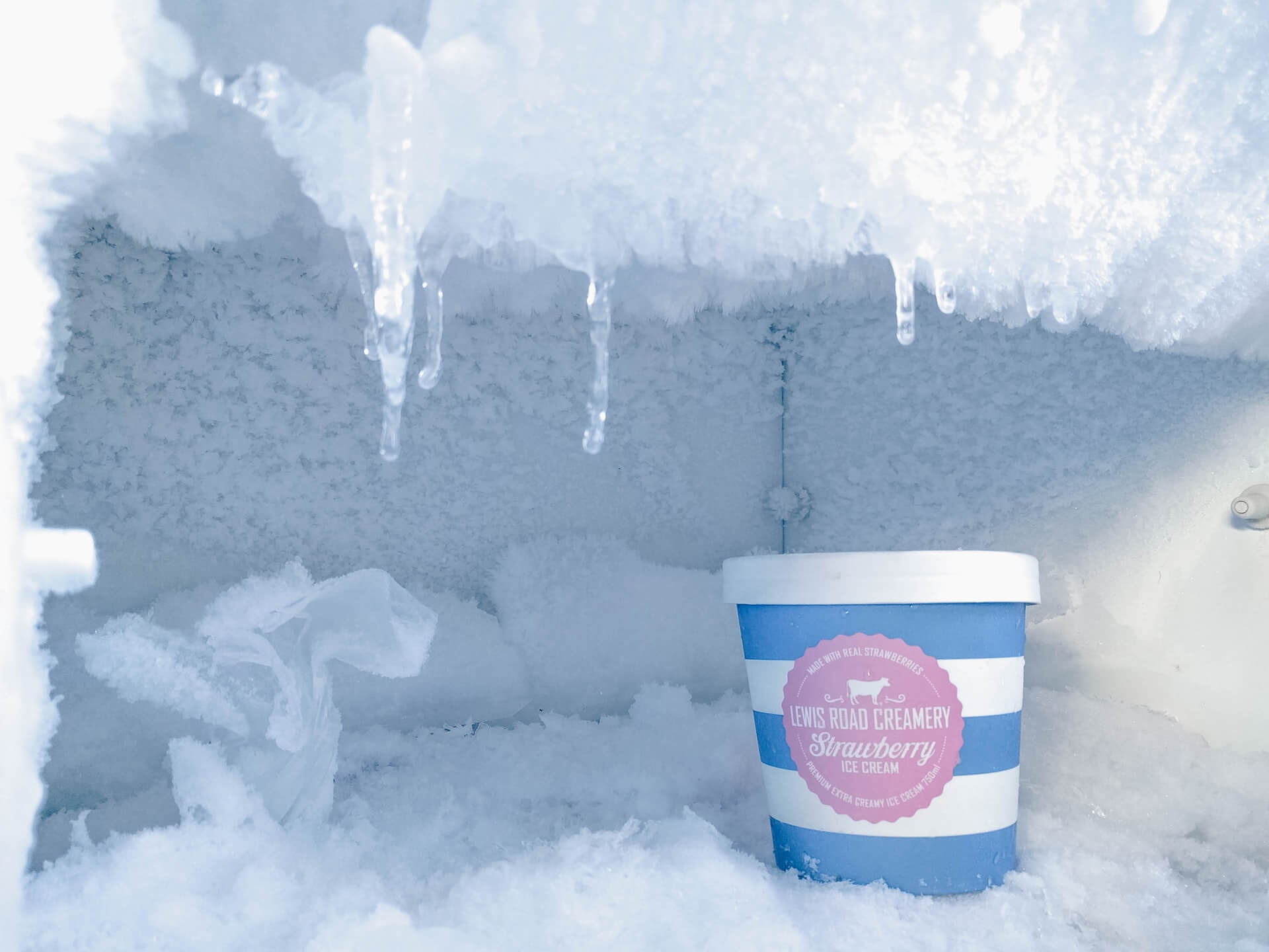 freezer storage ice cream freezer storage ice cream