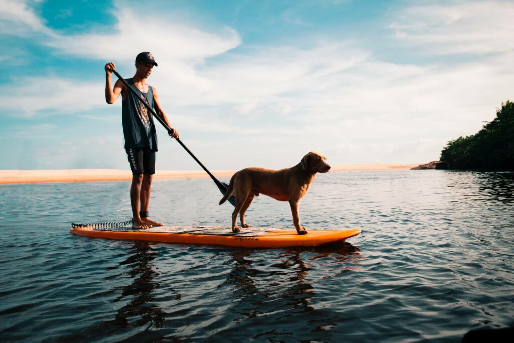 A man and his dog stand-up paddle boarding in the ocean A man and his dog stand-up paddle boarding in the ocean